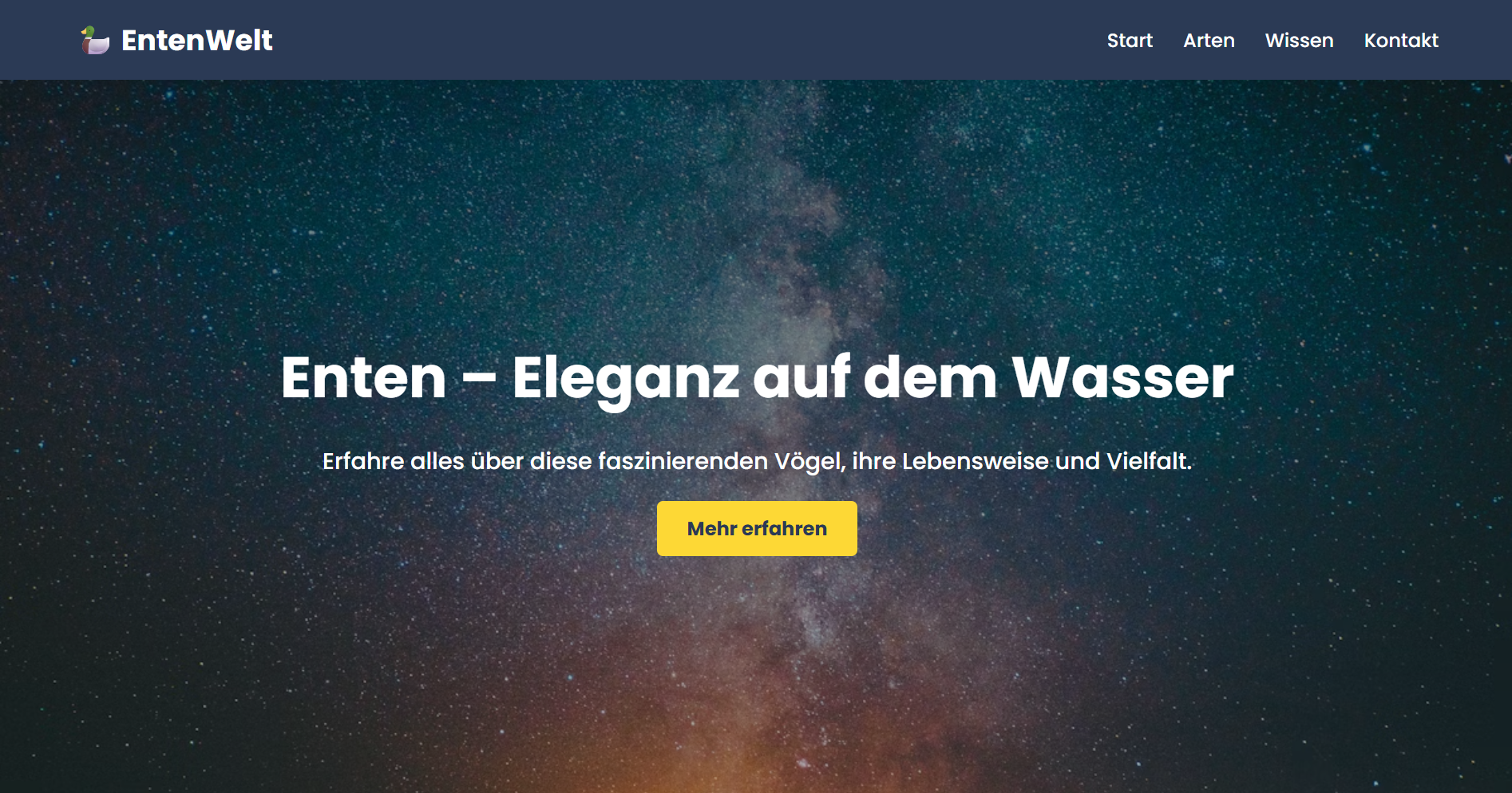 Enten Website